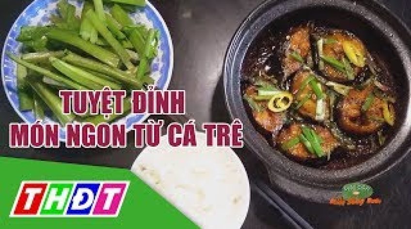 Đặc sản miền sông nước - Tuyệt đỉnh món ngon từ cá trê