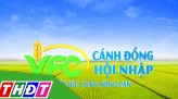 Cánh đồng hội nhập - 04/12/2025: Quản lý vi khuẩn hiệu quả vụ Đông Xuân