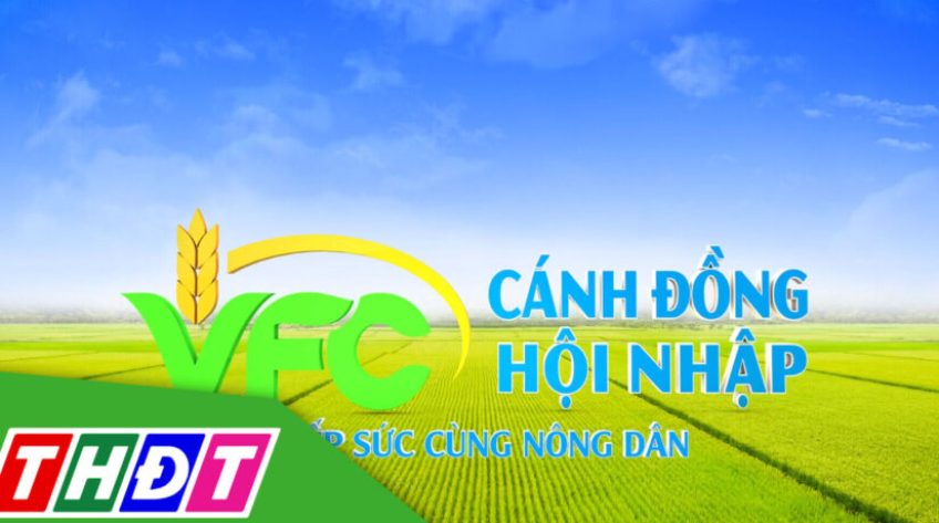 Cánh đồng hội nhập - 04/12/2025: Quản lý vi khuẩn hiệu quả vụ Đông Xuân