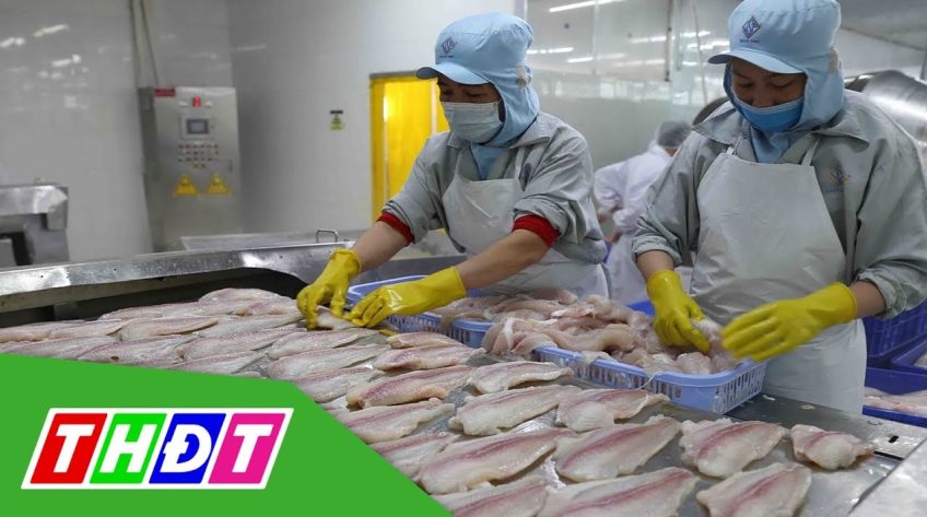 Thuế chống bán phá giá cá tra vào Mỹ giảm mạnh
