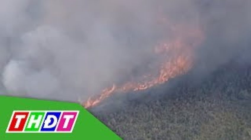 Mưa giông dập tắt cháy rừng ở Australia