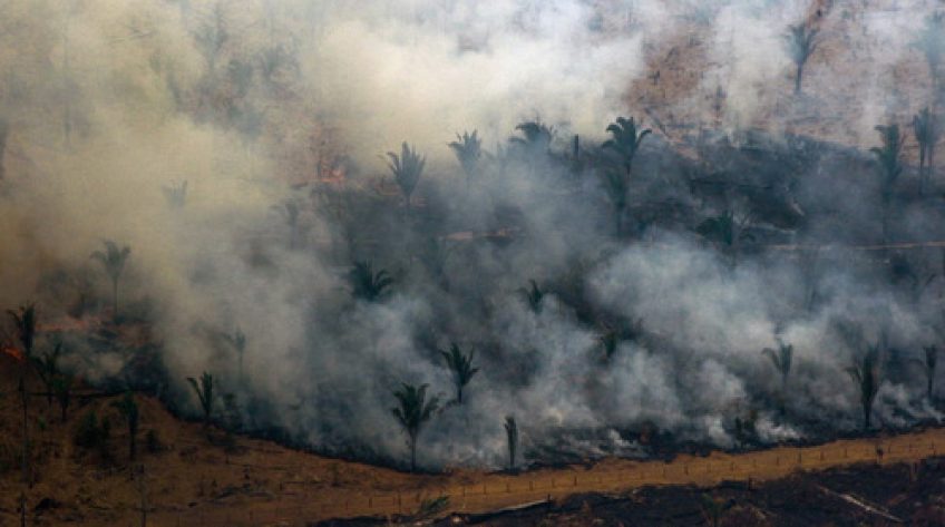 Brazil sử dụng máy bay chiến đấu để chữa cháy rừng Amazon