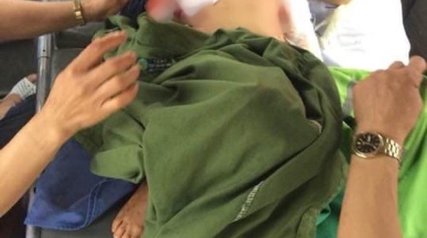 Thái Nguyên: Chó nhà nuôi cắn tử vong một bé trai 7 tuổi