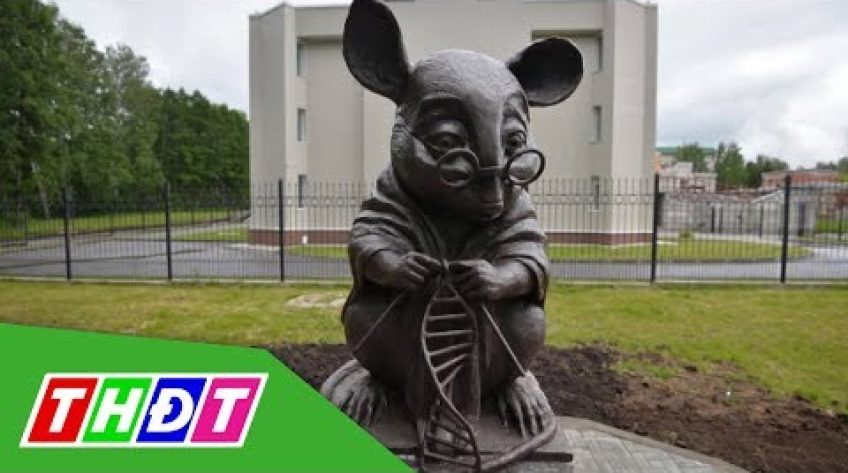 Dựng tượng tôn vinh đóng góp Khoa học của loài Chuột