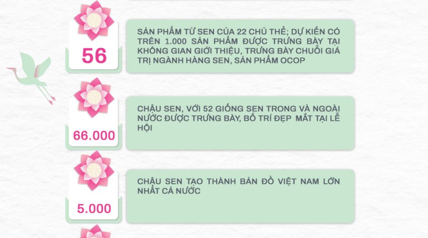 [Infographic] Lễ hội Sen Đồng Tháp lần thứ II năm 2024 qua những con số