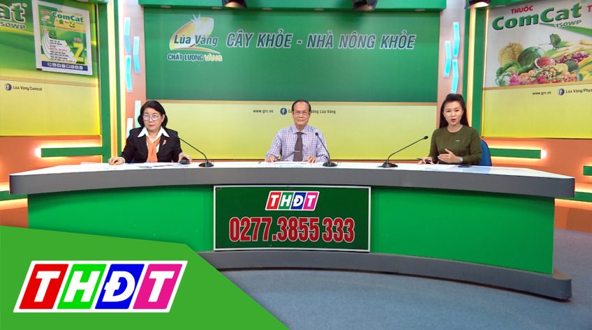 Tư vấn Khuyến nông - 29/3/2021 - Cây khỏe, nhà nông khỏe