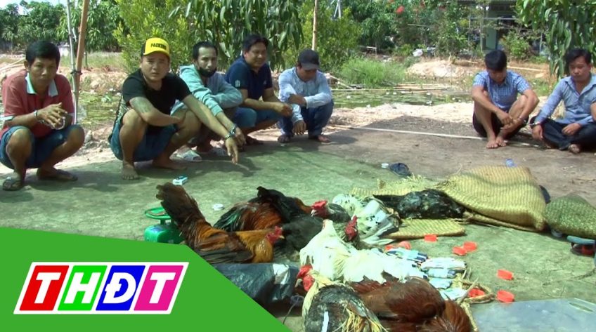 Bắt quả tang nhiều đối tượng đá gà ở Đồng Tháp