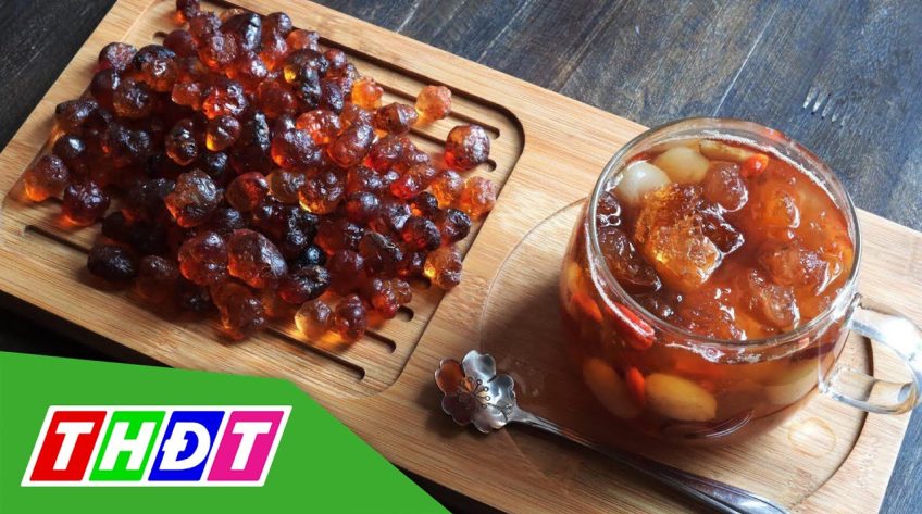 Nhựa đào giá gần nửa triệu đồng/kg