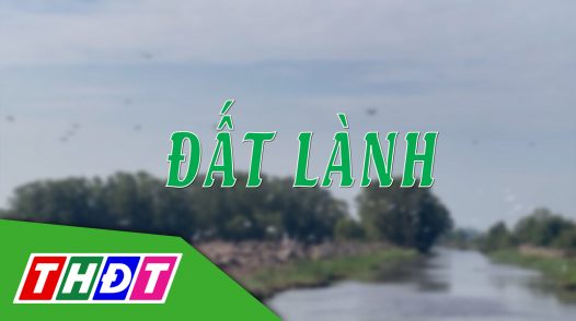 Phóng sự Đất lành