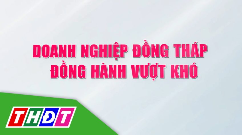 Phóng sự – 13/10/2023: Doanh nghiệp Đồng Tháp đồng hành vượt khó