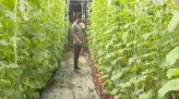 Cán bộ công chức cấp xã phụ cấp công vụ tăng lên 55%