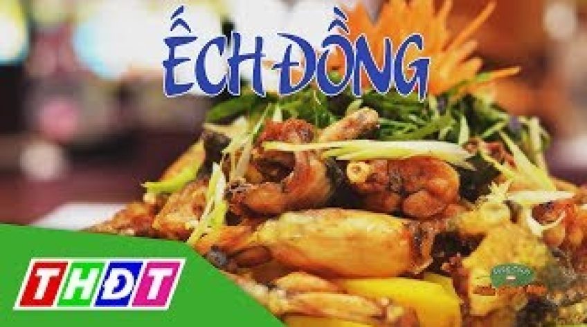 Đặc sản miền sông nước - Món ngon từ ếch đồng