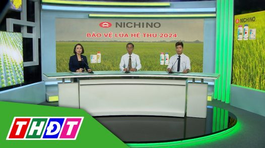 Tư vấn Khuyến nông - 27/5/2024 - Bảo vệ lúa Hè thu 2024
