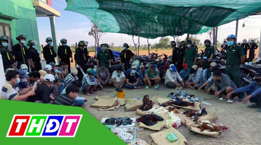Cảnh sát cải trang thành đại gia, đánh úp trường gà lớn ở Tiền Giang