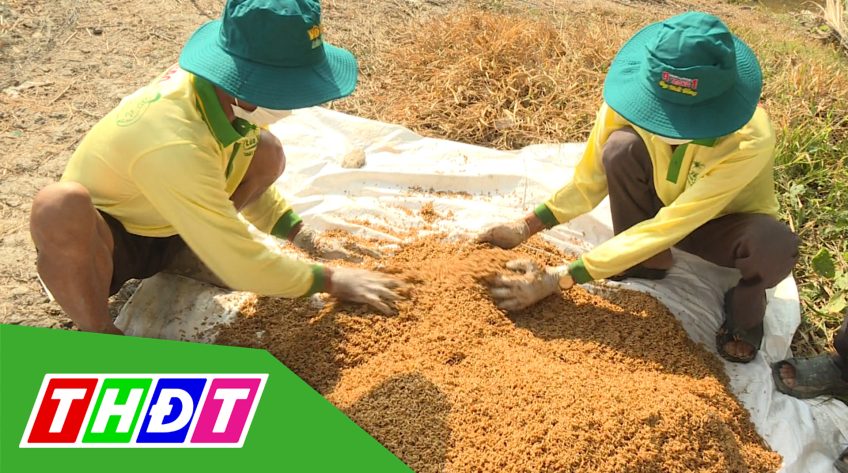 Khuyến nông - 21/3/2021: Cây khỏe nhà nông khỏe