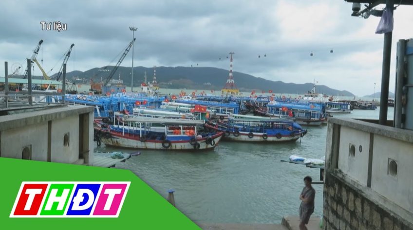 Cắt giảm nhiều điều kiện kinh doanh cho doanh nghiệp vận tải