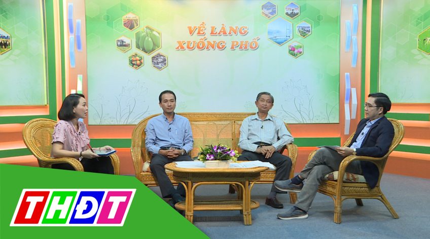 Về làng xuống phố - 25/1/2021 - Gạo Việt thăng hạng