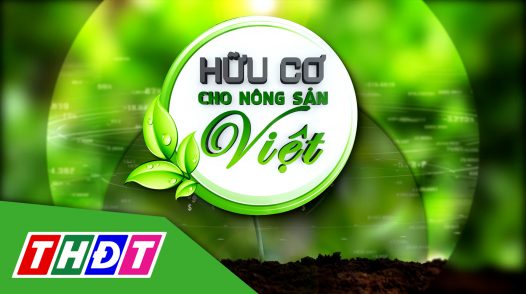 Hữu cơ cho nông sản Việt - 26/10/2024: Phân bón hữu cơ, giải pháp cho cây có múi