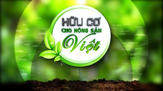 Hữu cơ cho nông sản Việt - 09/12/2025: Phân hữu cơ lựa chọn bền vững của quýt hồng đặc sản