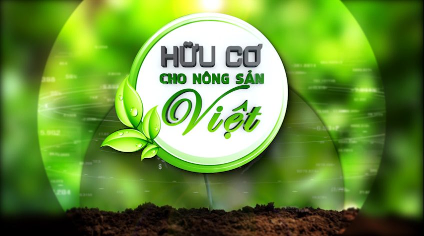 Hữu cơ cho nông sản Việt - 25/11/2025: Cây dừa phát triển bền vững nhờ phân bón hữu cơ