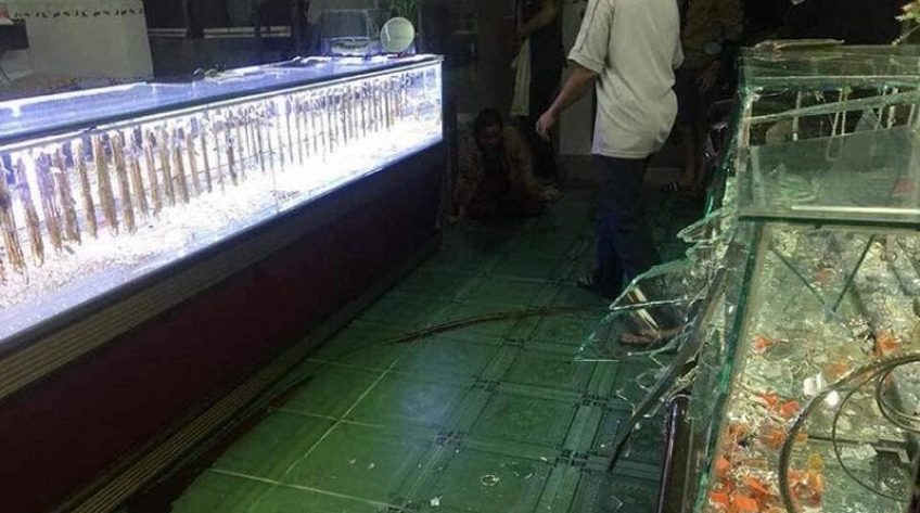 Đang xem đá bóng, vợ chồng chủ tiệm vàng bị cướp đánh thương vong