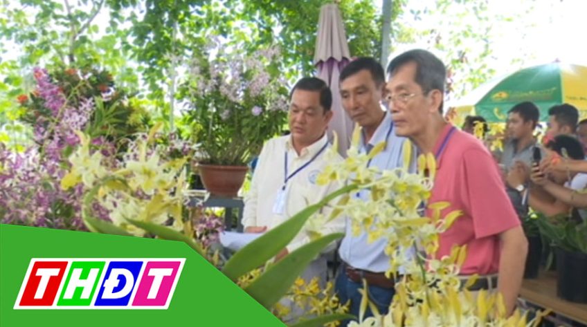 Hội thi và trưng bày hoa lan mở rộng Đồng Tháp lần thứ 1