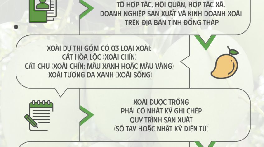 Infographic Hội thi Trái xoài ngon Đồng Tháp năm 2023