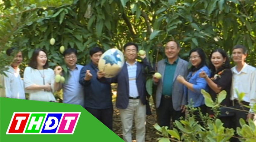 Đoàn công tác huyện Choeron (Hàn Quốc) tham quan mô hình sản xuất