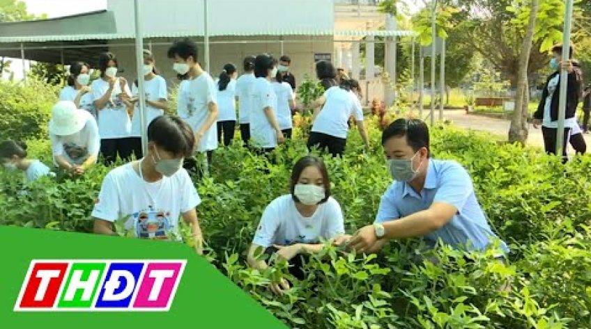 Đưa vườn rau hữu cơ vào trường học