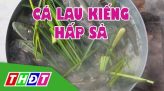 Đặc sản miền sông nước - Vàng ươm bánh xèo Cao Lãnh