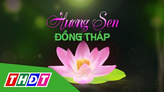 Hương sen Đồng Tháp - 20/5/2024: Nguyễn Thế Ngoan Vinh - hương sen lao động, sản xuất giỏi
