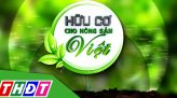 Hữu cơ cho nông sản Việt - 25/11/2025: Cây dừa phát triển bền vững nhờ phân bón hữu cơ