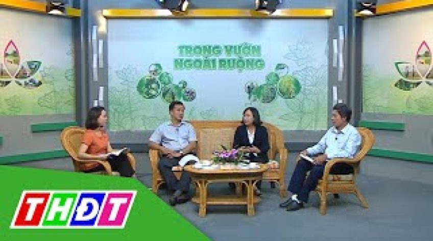 Trong vườn ngoài ruộng - 6/12/2019 - Triển vọng ICRSL Đồng Tháp 2020
