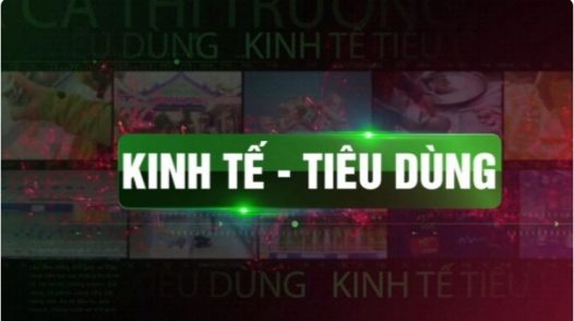 Kinh tế tiêu dùng - 22/8/2026