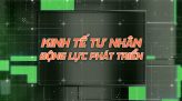 Kinh tế tư nhân - Động lực phát triển - 08/6/2026: Lễ hội trái cây mở rộng không gian cho kinh tế tư nhân