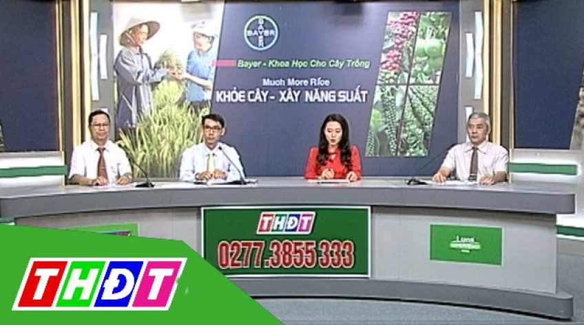 Tọa đàm Khuyến nông 22/12/2018: Khỏe cây, xây năng suất