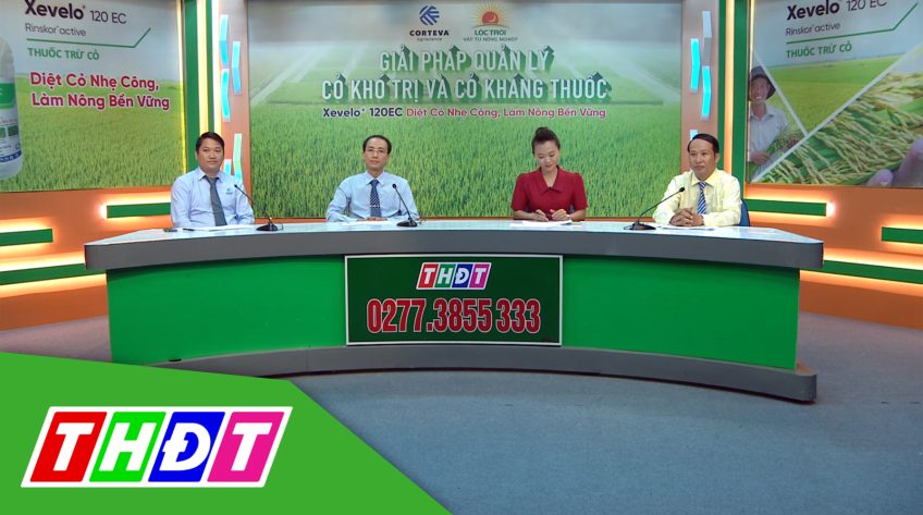 Tư vấn Khuyến nông - 12/9/2022 - Giải pháp quản lý cỏ khó trị và cỏ kháng thuốc