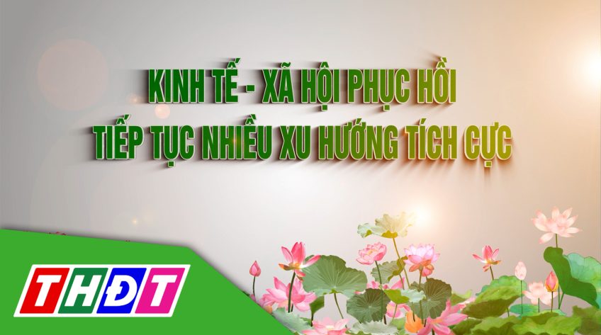 Kinh tế xã hội Đồng Tháp 6 tháng đầu năm 2024: Phục hồi, tiếp tục có nhiều xu hướng tích cực