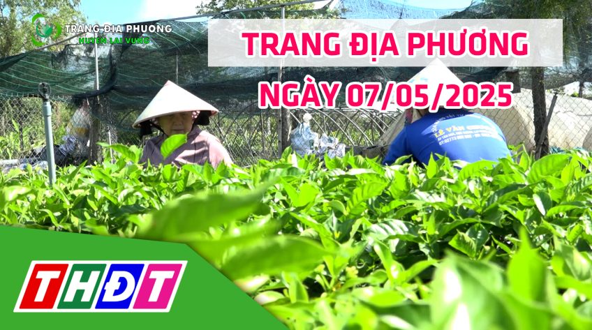Trang địa phương - 07/5/2025 - H.Lai Vung - Phụ nữ mạnh dạn chuyển đổi, thành công với mô hình kiểng lá