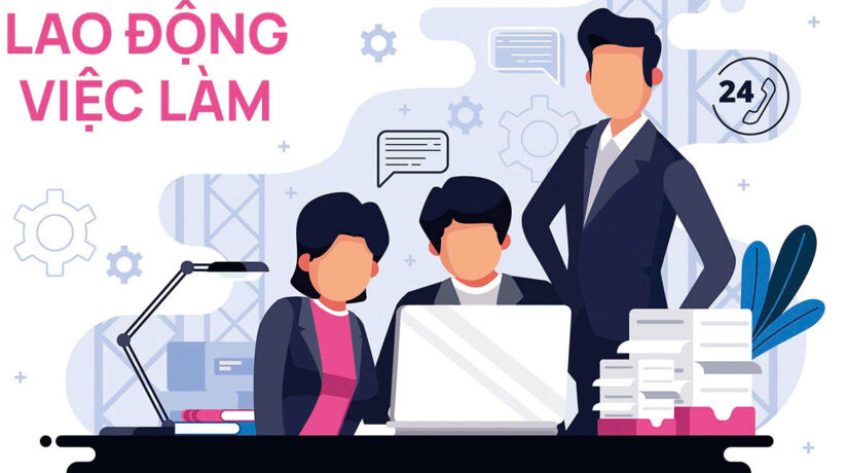 Lao động việc làm - 12/11/2025