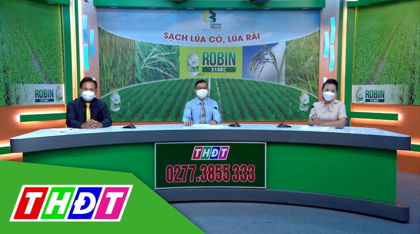 Tư vấn Khuyến nông - 25/10/2021 - Sạch lúa cỏ, lúa rài