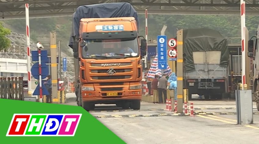 Khuyến cáo xuất khẩu chính ngạch sang Trung Quốc để giảm rủi ro
