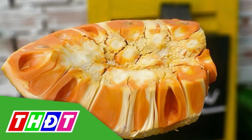 Cả triệu đồng 1 trái mít ruột đỏ