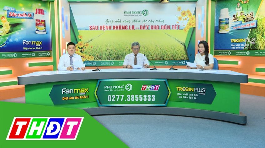 Tư vấn Khuyến nông - 4/1/2021 - Sâu bệnh không lo - Đầy kho đón Tết