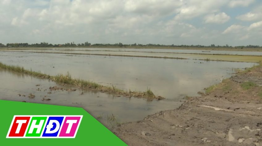 Hài hòa lợi ích vườn và ruộng khi xả lũ