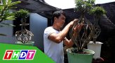 Khám bệnh, cấp thuốc miễn phí cho người dân Thành phố Sa Đéc