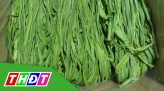 Doanh nghiệp bàn phương án thu mua sen với nông dân Tháp Mười