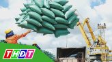 Xi măng đồng loạt tăng giá mạnh