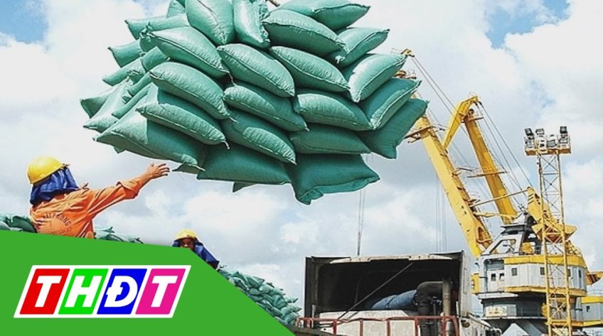 Giá gạo xuất khẩu tăng 5 USD/tấn