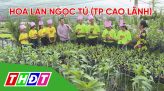 Trang tin địa phương - Thứ Sáu, 21/6/2019 - Huyện Lấp Vò